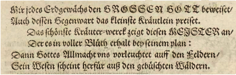 5200 - Kräuterbuch von 1768 - Textabschnitt 2